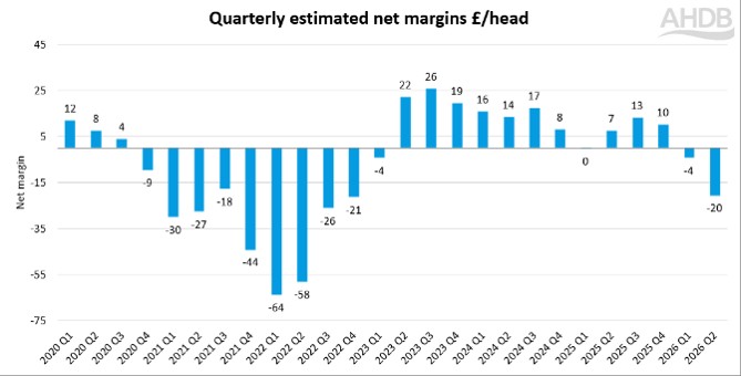 graph showing pork net margins